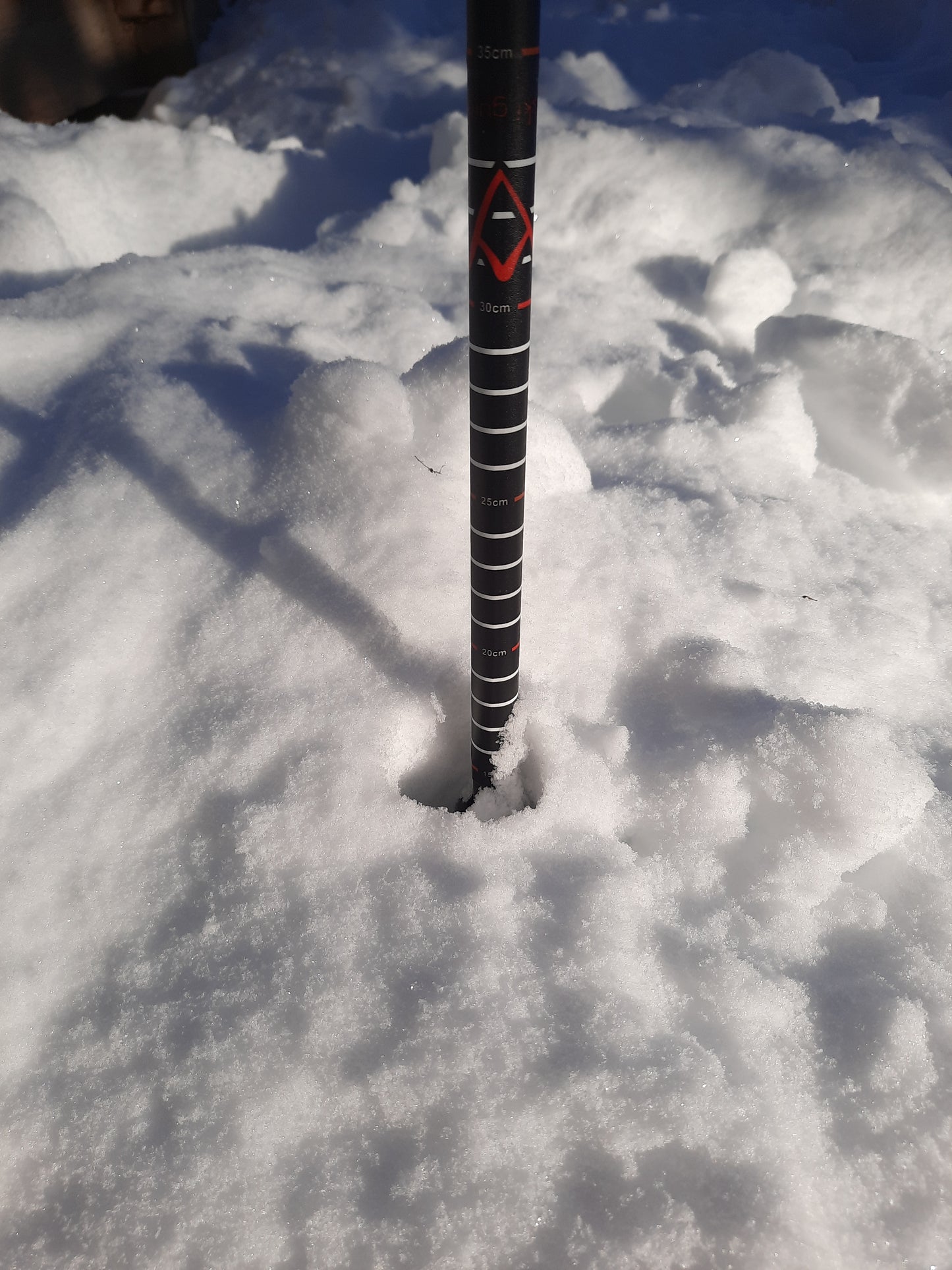 Ski pole ruler sticker - free with other product purchase